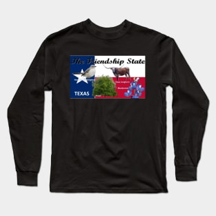 Texas State Flag and Symbols Long Sleeve T-Shirt